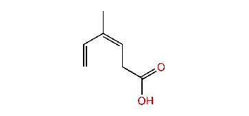 4-Methyl-(Z)-3,5-hexadienoic acid